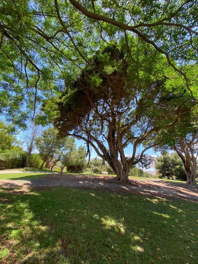 Apt Con Espectacular Vista, Piscinas, Recep 24 Hs Benalmádena Eksteriør bilde